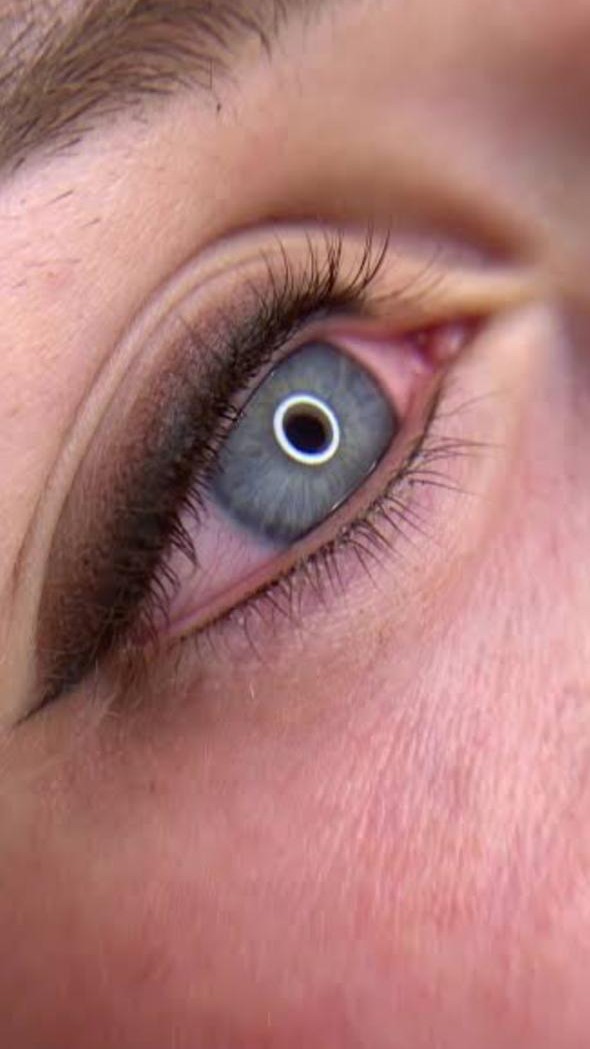 Natural permanent eyeliner result by Dr Browz Studio in San Diego